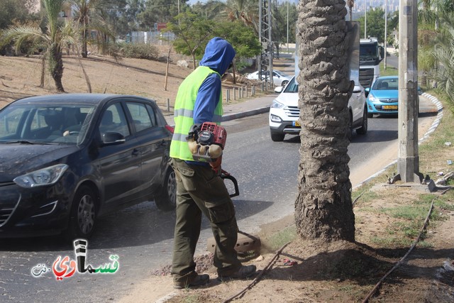 فيديو - كفر قاسم :  بعد النشر في قسماوي نت  البدء بالمراحل الاولى من البستنة والتشجير في جزر مدخل المدينة 